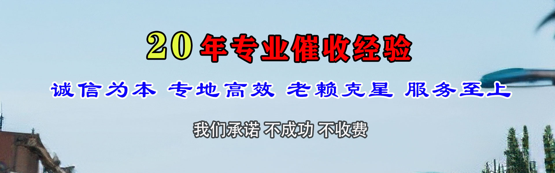 芦淞清债公司